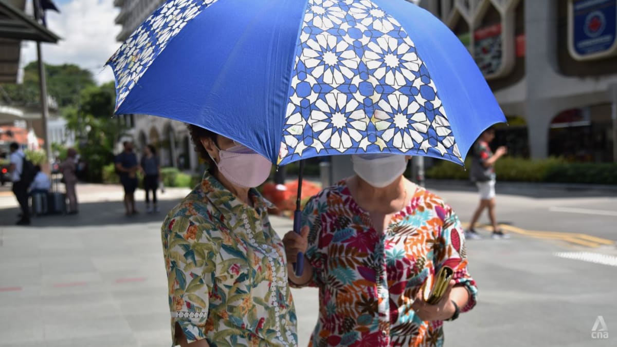 2024 was Singapore's joint-warmest year on record; temperature highs in April, July and December